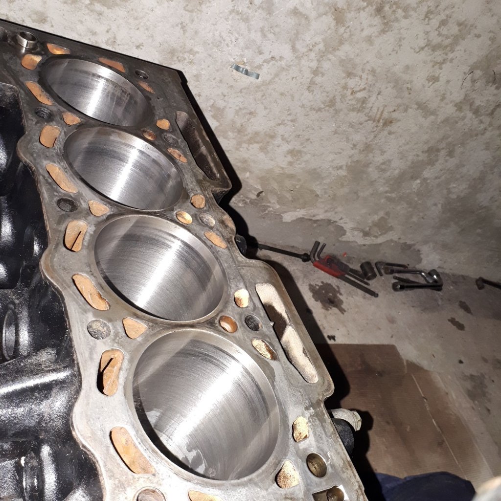 20190426_130914.jpg