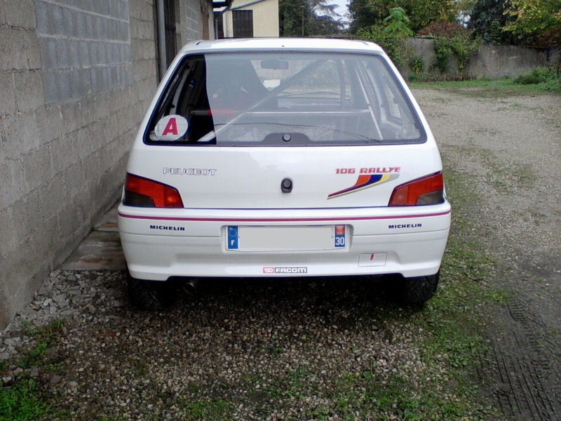P11-10-12_10.11.jpg